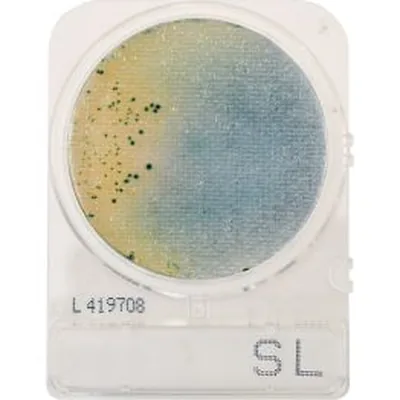 COMPACT DRY SALMONELLA (4 UND PAQ)